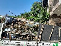Best Property Management Cleanouts  in Ten Mile Run, NJ